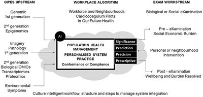 Culture intelligent workflow, structure, and steps